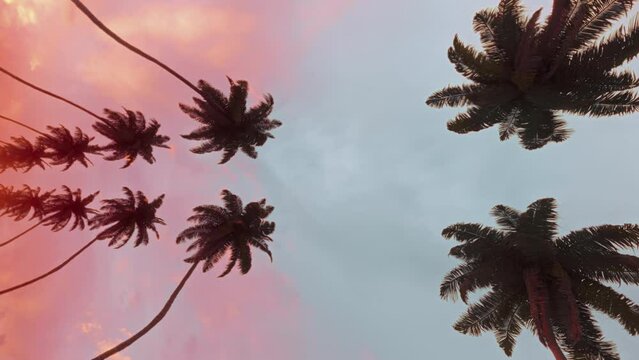 Smoothly moving infinite road with palm trees on both sides with a sunset sky in a bottom view Background. Carefree summer rest concept on vertical video