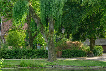 Fototapeta premium Sommerzeit im Dorf Weseke im Münsterland