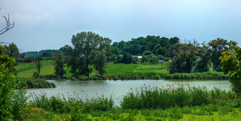 rural landscape with a pond and vegetable gardens in the South of Russia - a sunny summer day