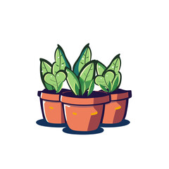 plant in a pot  in cartoon style on an isolated white background