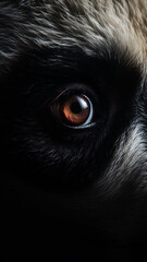 Closeup panda eye, portrait of animal on dark background. Ai generated