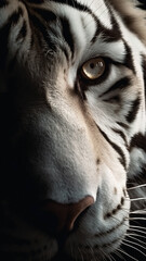 Closeup white tiger eye, portrait of animal on dark background. Ai generated