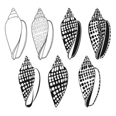 Shells. Hand drawn vector collection, 7 isolated  elements on white background. Perfect for decoration, invitation, card, poster and as a design element.
