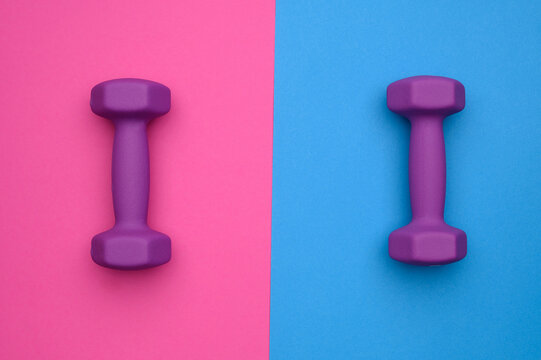 The layout of two rubberized dumbbells of 2 kg of purple color on a blue-pink background, top view. Sports training