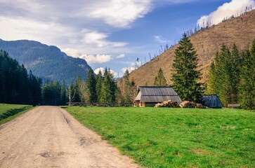 Fototapety na wymiar - Fototapeta24.pl