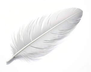 feather on a white background created with Generative AI technology