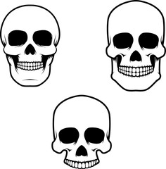 Set of the human skulls in vector