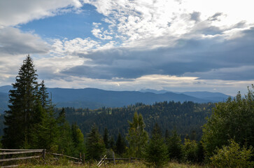 Picturesque summer landscape in Carpathian mountains. Lush green forest and cloudy sky. Travel background concept