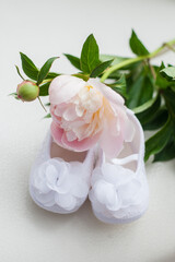 Small slippers for the future girl. Pregnancy. Waiting. Parents. Flowers. Tenderness.