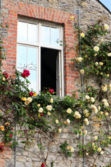 Fototapeta na wymiar Brick house with blooming roses and flowers on the wall and open window in spring