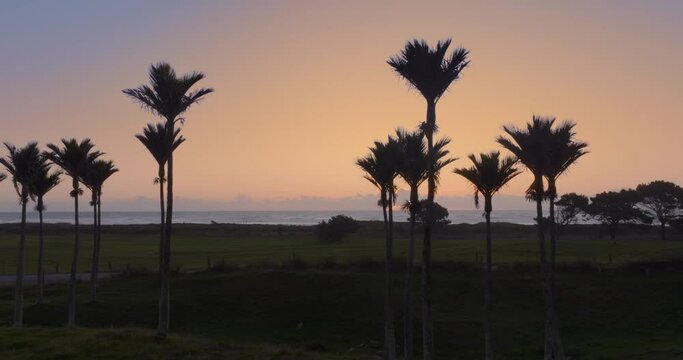 Aerial: Farmland and Nikau forest. South Island, New Zealand