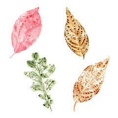 Imprints of autumn leaves in green, yellow, pink colors isolated on transparent background. Set of fall dry leaves. Watercolor illustration of colorful leaf forms for posters, texture, frame, cards