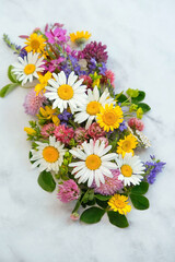 Floral summer background. colorful meadow wild flowers close up on abstract marble backdrop. Floral arrangement. Summer garden, Botanica, Nature concept. Minimal style. element for design.