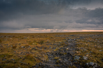 Knivskjellodden, a trail in the tundra towards the true northernmost point of Europe,  Norway