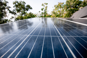 Renewable energy technology concept. Farm using solar panels used in agriculture industry as solar...