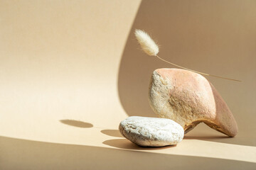 Podium for exhibitions and product presentations material stone, wood. Beautiful beige background made of natural materials. Abstract nature scene with composition. - obrazy, fototapety, plakaty