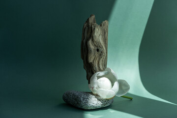 Podium for exhibitions and product presentations material stone, wood. Beautiful green background made of natural materials. Abstract nature scene with composition.