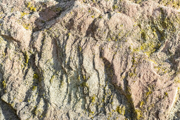 Sandstone stone texture with grain and irregularities in bright sunlight