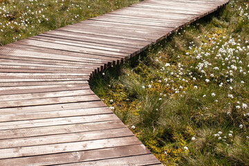 wooden path in the park. Ecotrail Sestroretsk swamp