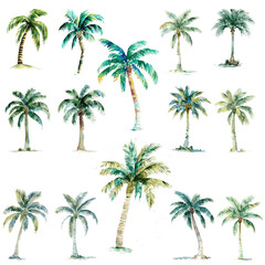 14 Palmen Bäume Aquarell Zeichnungen Vektor Transparent Freigestellt | Palm Trees Watercolor Drawing Vector Isolated