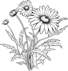 Flowers Line Art