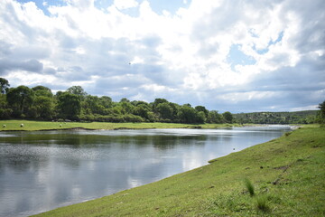 landscape with lake