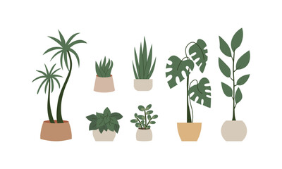 Set of home potted plants. Vector flat illustration on isolated background. Various houseplants interior decor. 