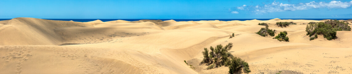 Panoramablick auf die Dünen von Maspalomas auf der kanarischen Insel Gran Canaria, an der Küste des Atlantiks.