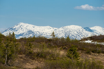 Fototapeta premium Mountain view from Risfjellet, Mo i Rana, Norway. Norwegian mountain landscape in early summer with snow on the high mountain peaks. Pine trees and high altitude. Mountain lake, fjord. Blue and green.