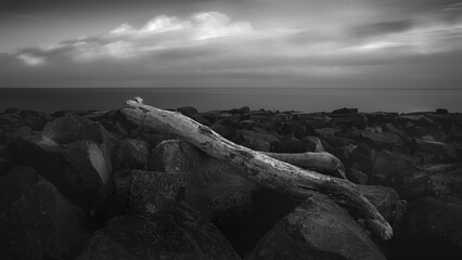 monochrome sea view with white trunk on the rocks