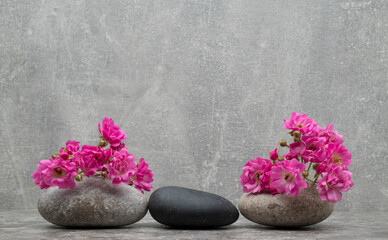 minimalistic background with gray and black stones and pink flowers on gray background for product presentation podium background.spa still life for banner background with zen stones and flowers