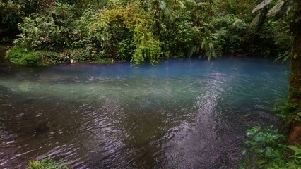 Changing blue river in the middle of the rain forest in costa rica