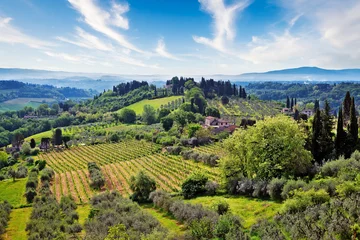 Rolgordijnen Tuscany - Italy © michael