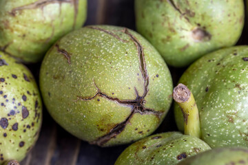 Ripe walnuts with green shells