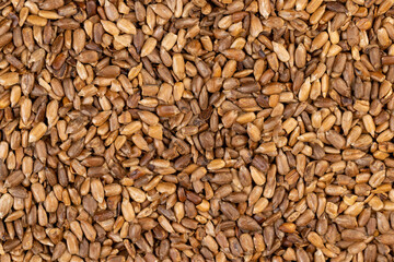 heavily fried sunflower seeds close up