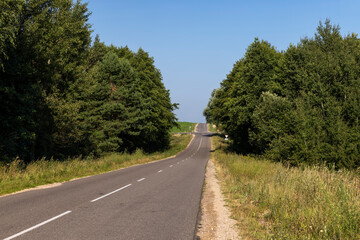 Paved road through the forest