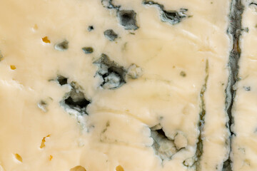 Blue mold cheese cut into pieces