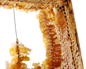 honeycomb with honey on a wooden frame. concept of healthy and therapeutic nutrition