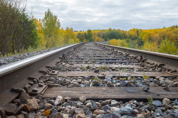 railway line in the deep autumn forest