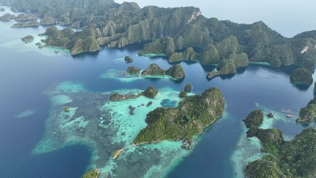 Dramatic limestone islands, eroded over millions of years, rise from Raja Ampat's idyllic seascape. This area of eastern Indonesia is known for its spectacular marine biodiversity.