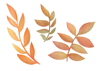 Hand drawn watercolor Autumn leaves bouquet in boho style isolated on white background. Floral and leaves bouquets arrangements for invitations to the October wedding and postcards