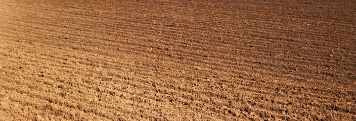  Row plowed field, sown with cereals or prepared for planting, brown earth.