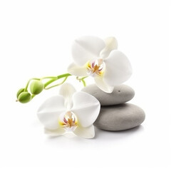 Fototapeta na wymiar pink orchid on stack of pebbles isolated on white background. AI generated content