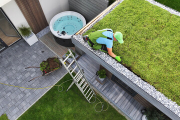 Professional Landscaper Installing Green Roof on Modern Garden Shed - 615263940