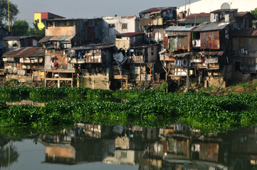 Fototapeta na wymiar A photo of water hyacinths floating on the Pasig River in Manila with floating houses in the background.