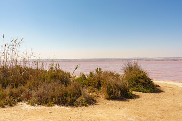 Pink lake, coastal landscape, Spain