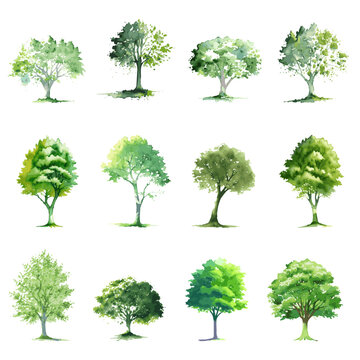 12 Grüne Bäume Aquarell Zeichnung Vektor Grafik | Green Trees Watercolor Drawings Vector Graphic
