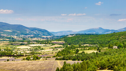 Fototapeta na wymiar Provence landscape with lavender fields, France.