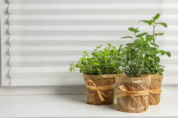 Fototapeta na wymiar Different aromatic potted herbs on windowsill indoors. Space for text