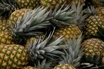 Heap of delicious ripe pineapples as background. Exotic fruit